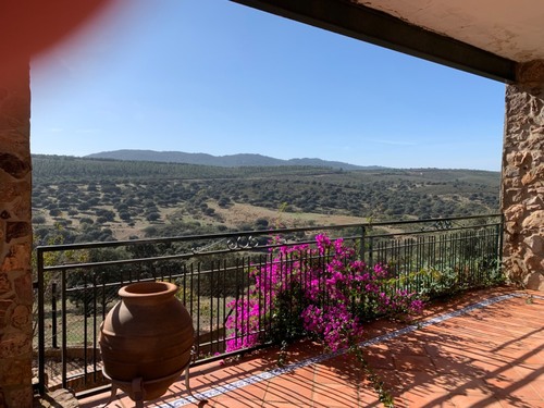 imagen 2 de Finca dehesa en Badajoz con casa y naves para ganadería y recreo