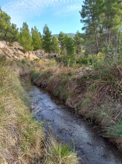 imagen 3 de FINCA EL MOLINO (LETUR, ALBACETE)
