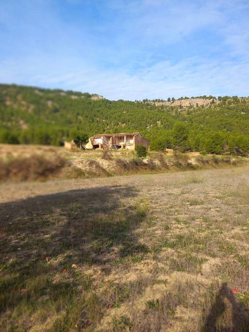 imagen 5 de FINCA EL MOLINO (LETUR, ALBACETE)