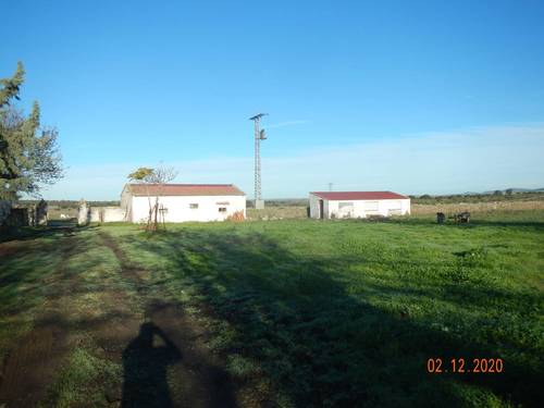 imagen 5 de INVERSORES Oportunidad Dehesa 98 Ha. Caserón y edificaciones, arbolado. Subasta Pública