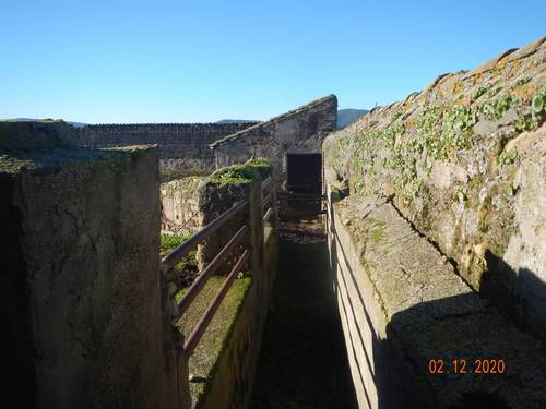 imagen 8 de INVERSORES Oportunidad Dehesa 98 Ha. Caserón y edificaciones, arbolado. Subasta Pública