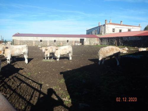 imagen 7 de INVERSORES Oportunidad Dehesa 98 Ha. Caserón y edificaciones, arbolado. Subasta Pública