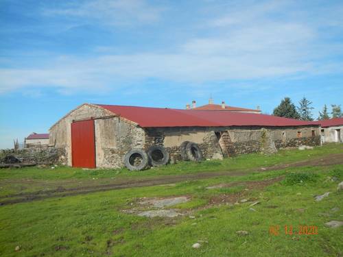 imagen 12 de INVERSORES Oportunidad Dehesa 98 Ha. Caserón y edificaciones, arbolado. Subasta Pública