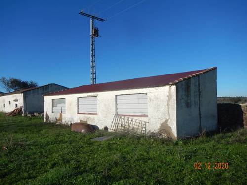 imagen 13 de INVERSORES Oportunidad Dehesa 98 Ha. Caserón y edificaciones, arbolado. Subasta Pública