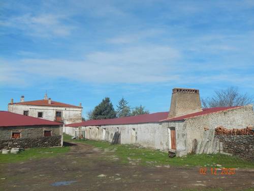 imagen 14 de INVERSORES Oportunidad Dehesa 98 Ha. Caserón y edificaciones, arbolado. Subasta Pública