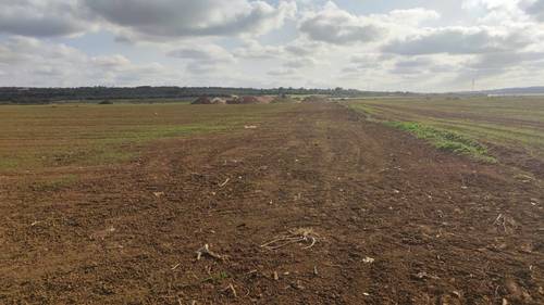 imagen 13 de Terreno rústico y agrario con regadío en ariany