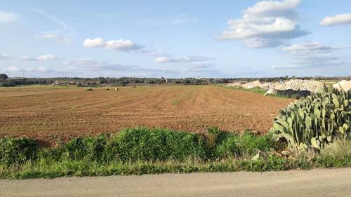 imagen 3 de Terreno rústico y agrario con regadío en ariany