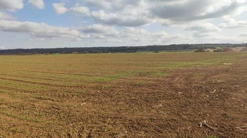 imagen 10 de Terreno rústico y agrario con regadío en ariany