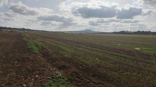 imagen 11 de Terreno rústico y agrario con regadío en ariany