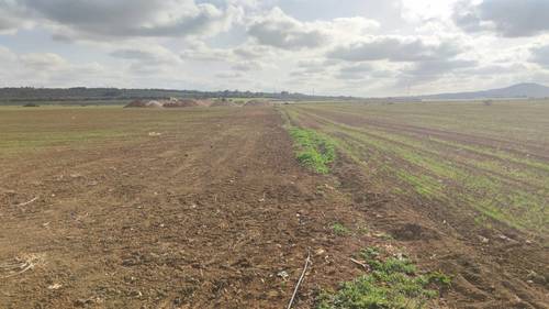imagen 12 de Terreno rústico y agrario con regadío en ariany