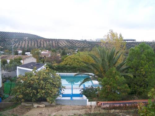 imagen 1 de FINCA RUSTICA