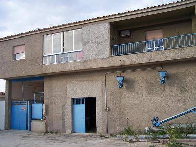 imagen 3 de FINCA RUSTICA