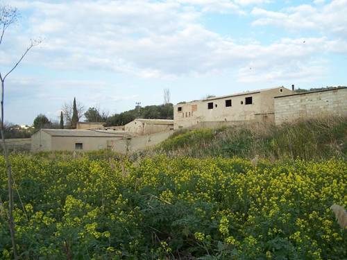 imagen 6 de FINCA RUSTICA