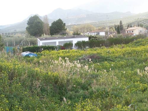 imagen 5 de FINCA RUSTICA