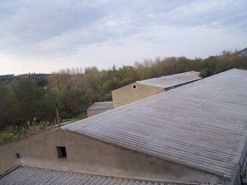 imagen 8 de FINCA RUSTICA