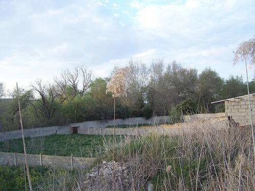 imagen 9 de FINCA RUSTICA