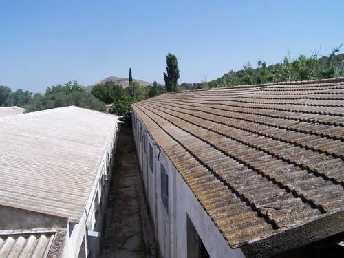imagen 10 de FINCA RUSTICA