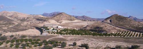 imagen 1 de Finca agrícola con casa