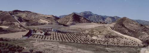 imagen 1 de Finca agrícola con casa