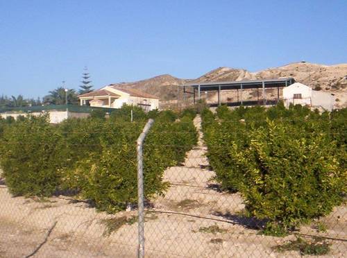 imagen 4 de Finca agrícola con casa