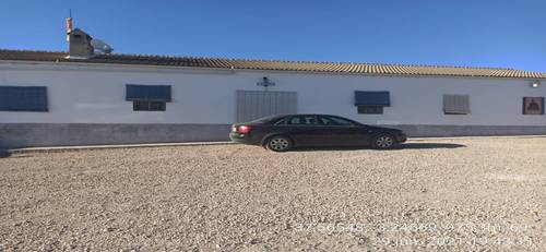 imagen 5 de Finca de 205 hectáreas de olivos