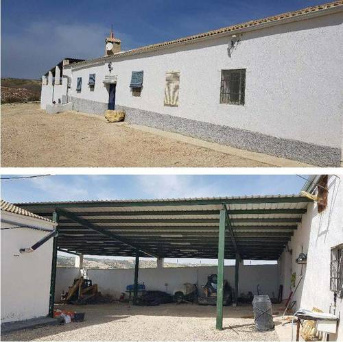 imagen 4 de Finca de 205 hectáreas de olivos