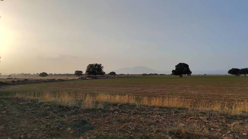imagen 16 de FINCA PARA ALMENDROS LLANA 200 HA GUADIX