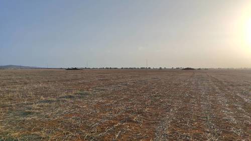 imagen 15 de FINCA PARA ALMENDROS LLANA 200 HA GUADIX