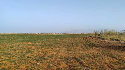 imagen 1 de FINCA PARA ALMENDROS LLANA 200 HA GUADIX