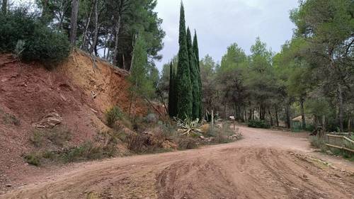 imagen 5 de Finca rústica en Naquera - Valencia