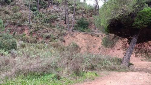 imagen 2 de Finca rústica en Naquera - Valencia