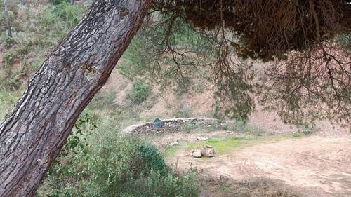imagen 4 de Finca rústica en Naquera - Valencia
