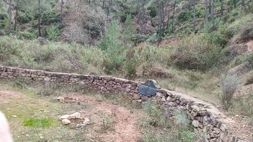 imagen 3 de Finca rústica en Naquera - Valencia
