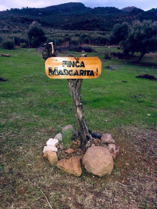imagen 2 de Finca rustica en guaro con caseta de aperos