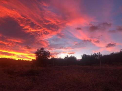 imagen 3 de Finca rustica en guaro con caseta de aperos