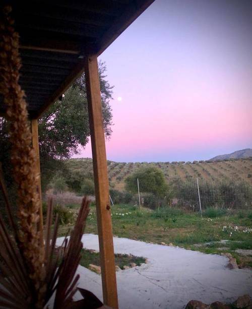 imagen 8 de Finca rustica en guaro con caseta de aperos