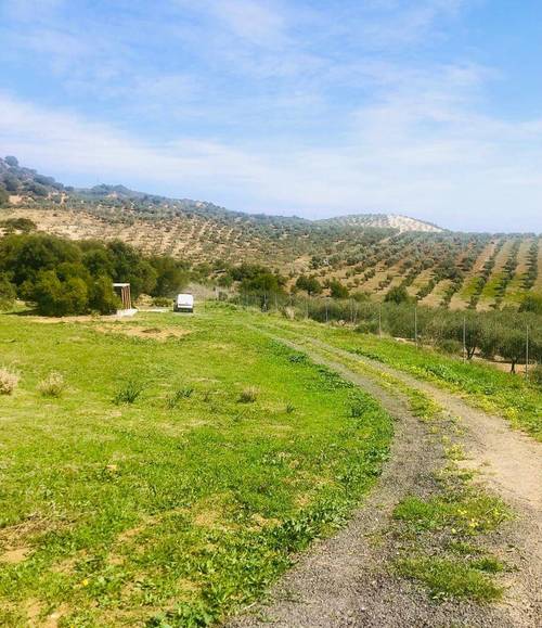 imagen 9 de Finca rustica en guaro con caseta de aperos