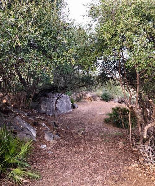 imagen 12 de Finca rustica en guaro con caseta de aperos