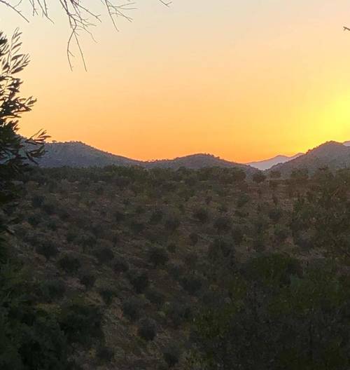 imagen 16 de Finca rustica en guaro con caseta de aperos