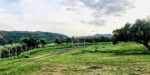 imagen 15 de Finca rustica en guaro con caseta de aperos