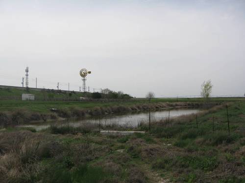 imagen 3 de MAGNIFICA FINCA EN VENTA EN NAVA DE LA ASUNCION(SEGOVIA)