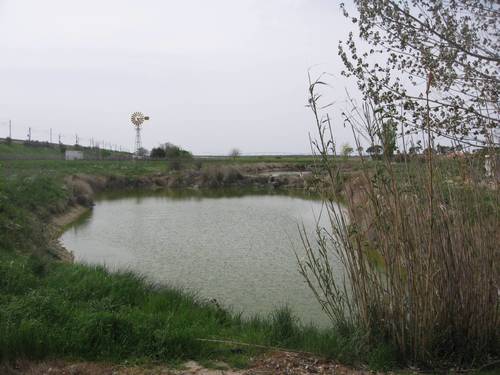 imagen 1 de MAGNIFICA FINCA EN VENTA EN NAVA DE LA ASUNCION(SEGOVIA)