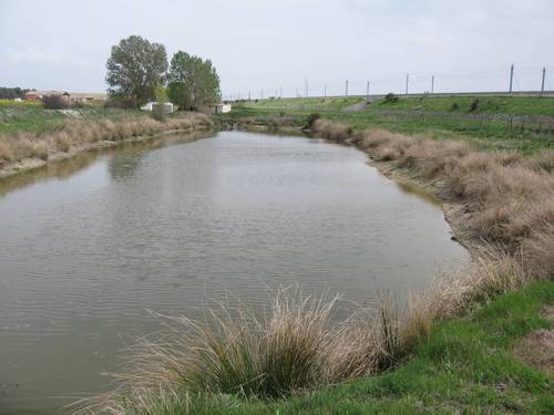 imagen 6 de MAGNIFICA FINCA EN VENTA EN NAVA DE LA ASUNCION(SEGOVIA)
