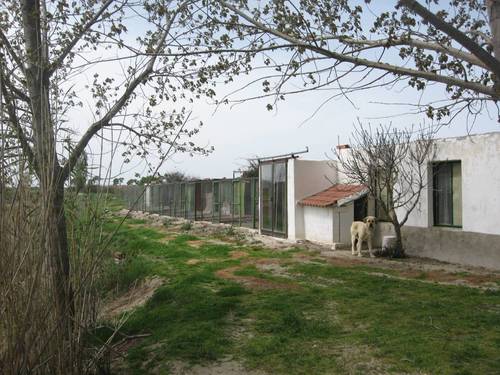 imagen 2 de MAGNIFICA FINCA EN VENTA EN NAVA DE LA ASUNCION(SEGOVIA)