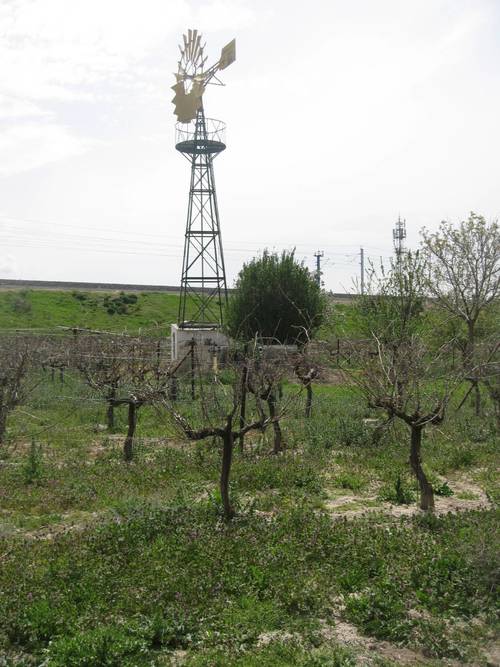 imagen 4 de MAGNIFICA FINCA EN VENTA EN NAVA DE LA ASUNCION(SEGOVIA)