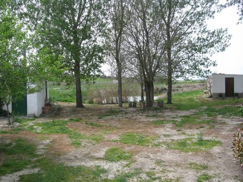 imagen 1 de MAGNIFICA FINCA EN VENTA EN NAVA DE LA ASUNCION(SEGOVIA)