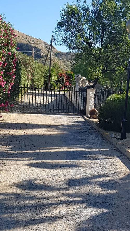 imagen 8 de Venta de hípica con vivienda en Alicante