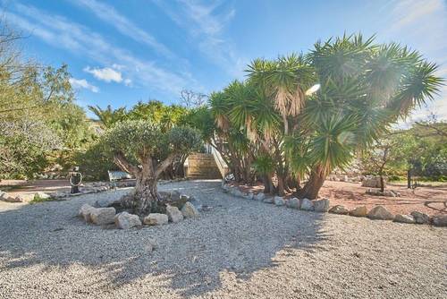 imagen 13 de Venta de hípica con vivienda en Alicante