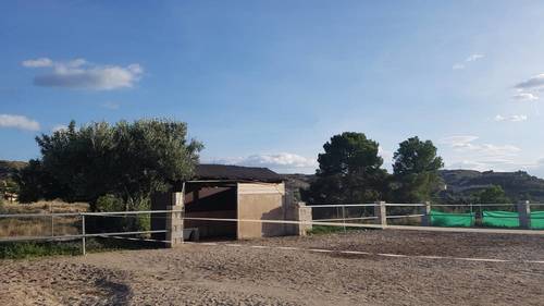 imagen 23 de Venta de hípica con vivienda en Alicante