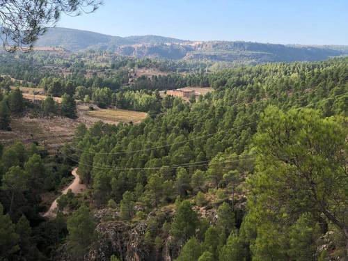 imagen 1 de Finca de regadío El Molino
